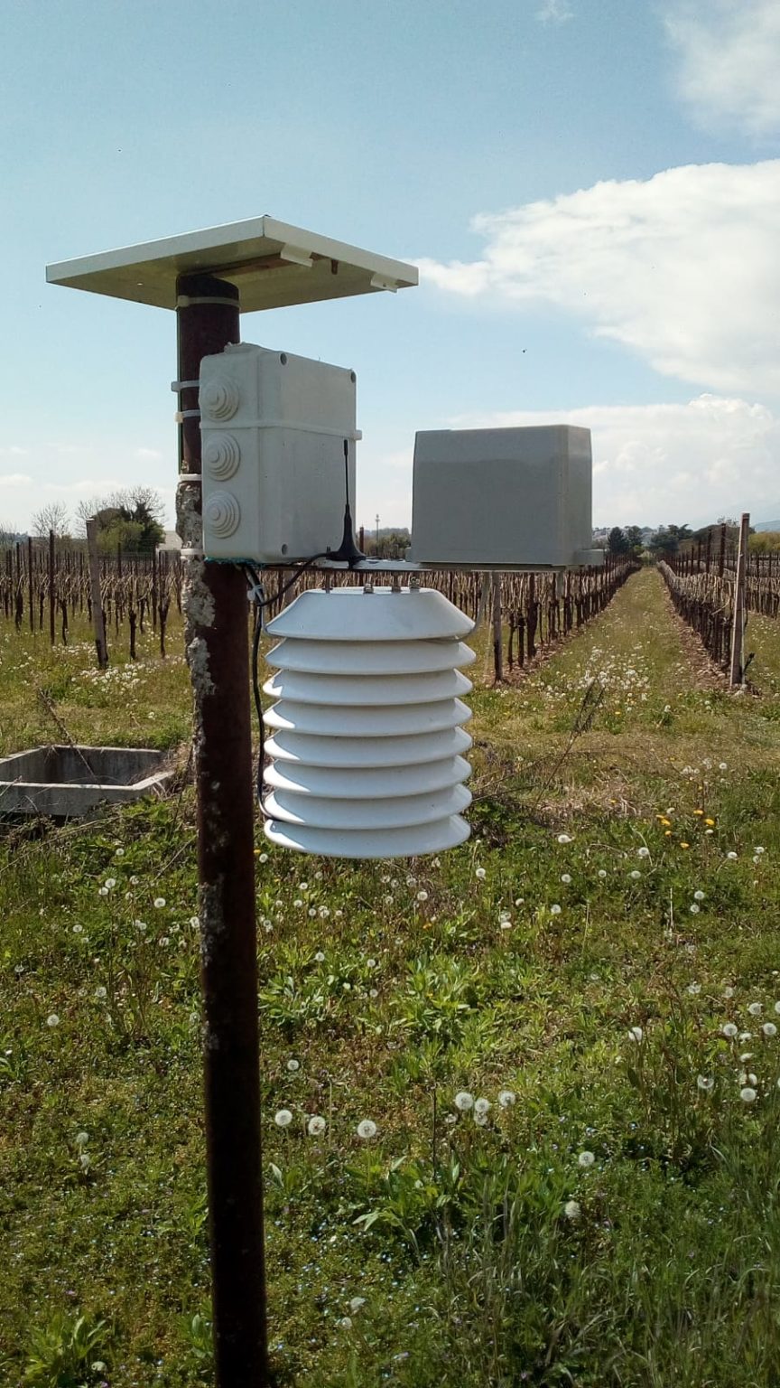 Trenkle Uhren Stazione Meteo Nella Foresta Nera Fatto Di Legno, Le